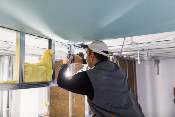 Best Eco-Friendly Insulation in Mount Vernon, KY