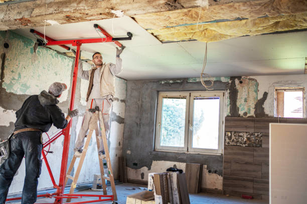 Best Geographic-Specific Insulation Services in Mount Vernon, KY