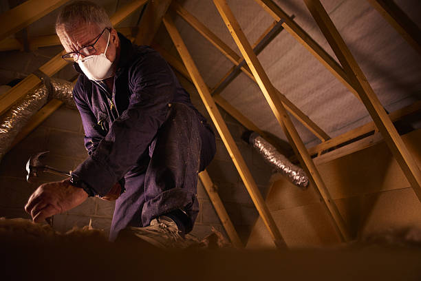 Best DIY Insulation Kits and Guidance in Mount Vernon, KY